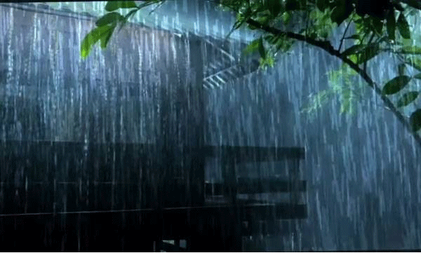 kerala-rain-alert-heavy-rain-in-four-districts